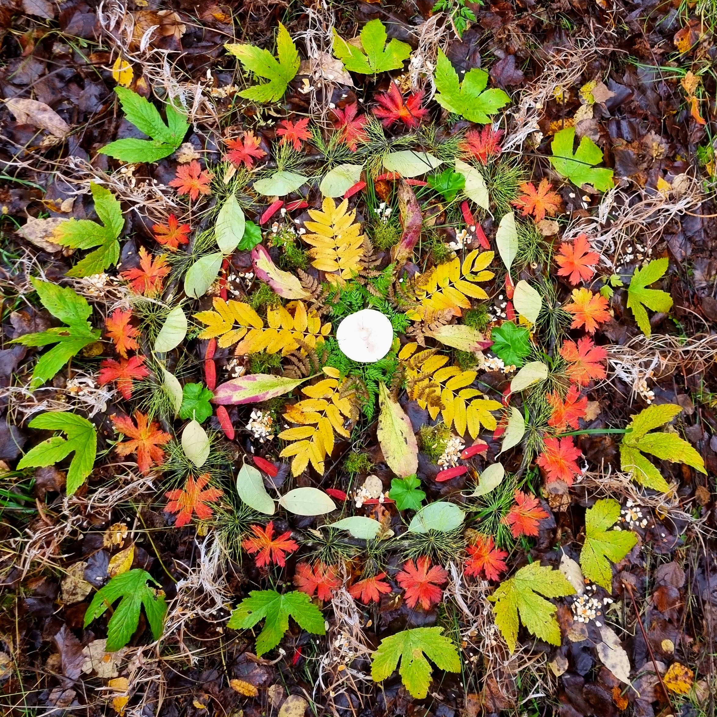 meditationsgrupp meditation luleå studiecirkel